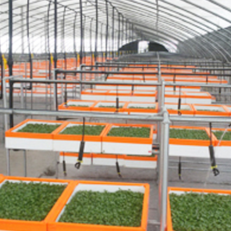 魚(yú)臺(tái)齊鑫化工有限公司