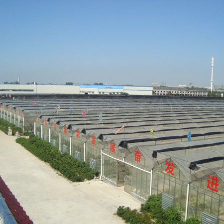 魚(yú)臺(tái)齊鑫化工有限公司