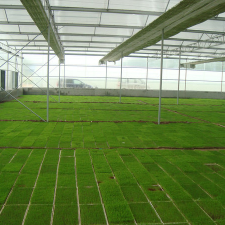 魚(yú)臺(tái)齊鑫化工有限公司